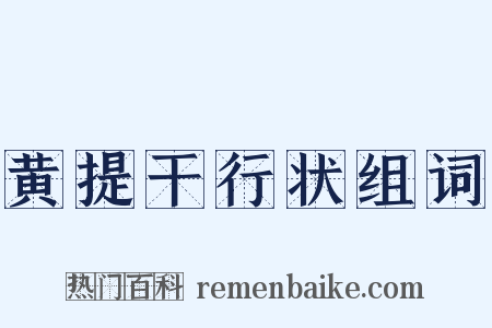 黄提干行状组词是什么意思的图片